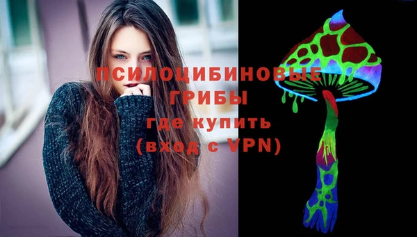 спиды Михайловск