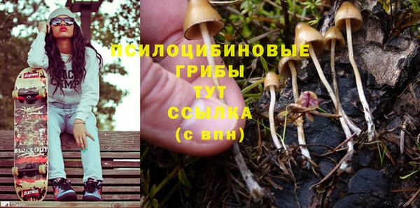 спиды Михайловск