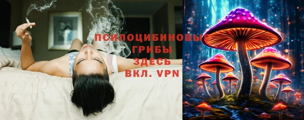 спиды Михайловск