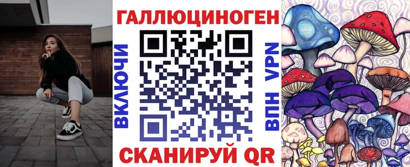 магазин    Наволоки  Псилоцибиновые грибы GOLDEN TEACHER 