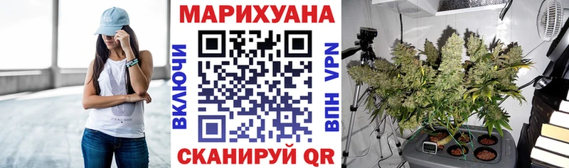 Канабис план где продают наркотики Наволоки